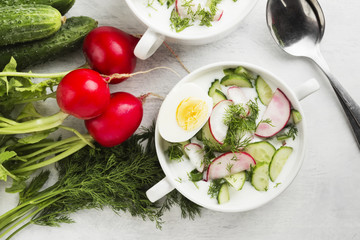 Traditional cold Russian soup with kefir (yogurt), cucumber, radish, egg and parsley on a white background. Top view. Food background
