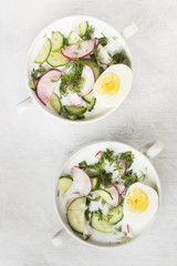 Traditional cold Russian soup with kefir (yogurt), cucumber, radish, egg and parsley on a white background. Top view. Food background