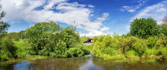летний пейзаж с ручьем и зеленой растительностью на...