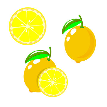 Vector lemon. Set fresh lemon fruits, collection of vector illustrations