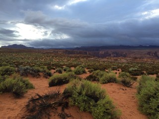 Overview over the outback with green bushes and skys.