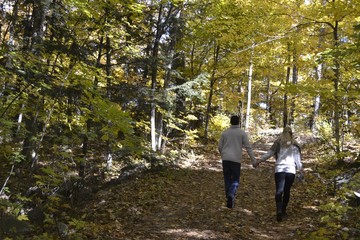 Fototapeta premium Muskoka