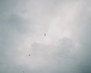 Beach sky