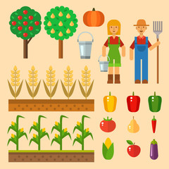 Vector farm harvesting equipment for agriculture and horticulture healthy natural fruits and hand tools