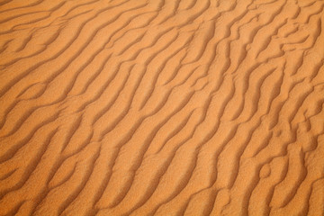 Red sand desert