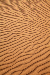 Fototapeta na wymiar Red sand desert