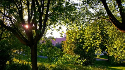 Vormittagssonne im Park