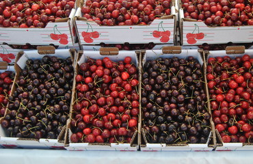 Cerejas, caixas de cerejas expostas para venda