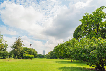 green grass field in big city park