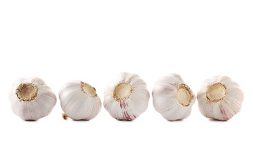 Garlic isolated on a white background