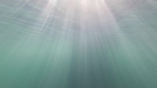Sonnenstrahlen unter der Wasseroberfl&auml;che