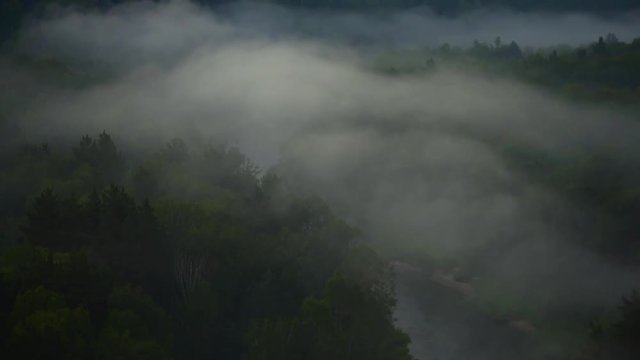 Singing birds at dawn. Mountain landscape and pine forest.