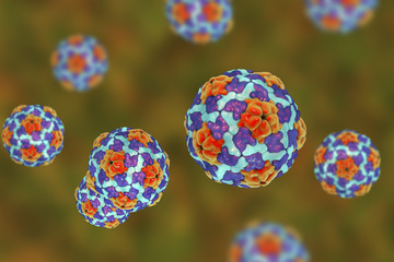 Heptitis A viruses on colorful background, 3D illustration