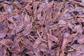 dried squid seafood
