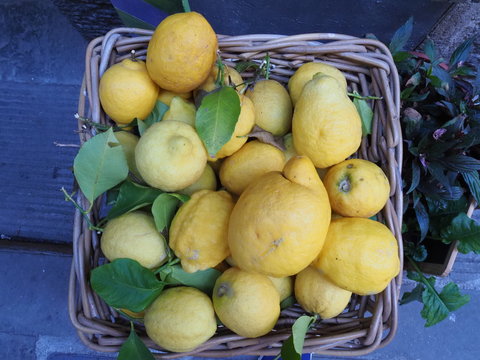 Citrons jaunes dans un panier