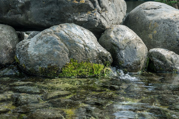 Fototapeta na wymiar 岩場の湧き水