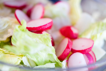Salat mit Radieschen