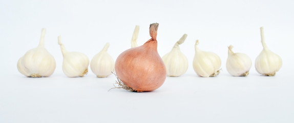 Fresh onion with blur garlic isolated on white background 