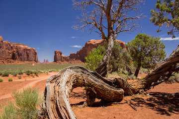 Obraz premium Monument Valley