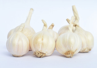 garlic isolated on white background 