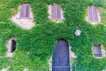 Fototapeta na wymiar Italian house - facade with ivy