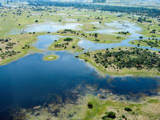 Okavango Delta, Botswana, Africa