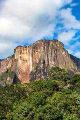 Naklejka premium Angel Falls, Canaima National Park, Venezuela