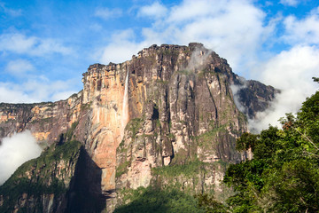 Fototapeta na wymiar Angel Falls, Canaima National Park, Venezuela