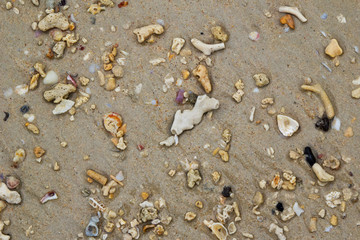 Travel to Krabi, Thailand. The top view on the beach with stones and seashells on sand.