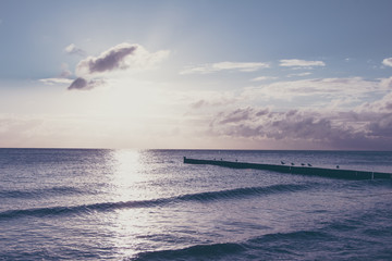 Coastline with a special dreamy mood on the beach