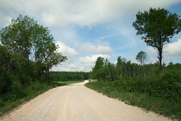 Fototapeta na wymiar Natural gravel road.