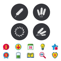 Agricultural icons. Gluten free or No gluten signs. Wreath of Wheat corn symbol. Calendar, Information and Download signs. Stars, Award and Book icons. Light bulb, Shield and Search. Vector