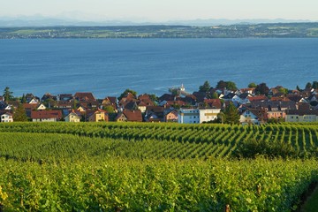 Fototapeta na wymiar Hagnau at Lake Constance, Baden-Württemberg, Germany 