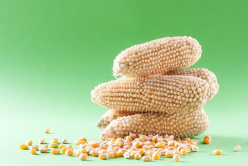 A stalk of raw corn on a green background © Valerii Dekhtiarenko