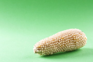 A stalk of raw corn on a green background
