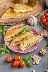 Pesto cheese sandwich