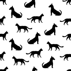 Seamless background with cat and dog