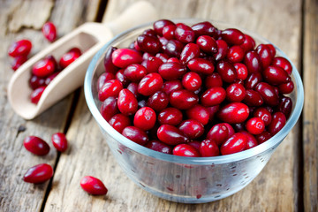Ripe cornel berry in bowl