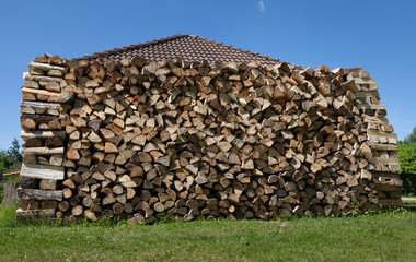 Pile of firewood outside.