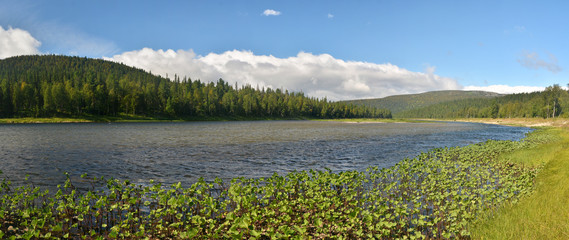 Summer in the national Park 