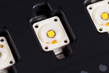 SMD LEDs in black tray, close-up, low focus