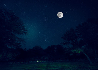 Naklejka na ściany i meble Mountain Road through the forest on a full moon night. Scenic night landscape of dark blue sky with moon. Azerbaijan. Long shutter photo