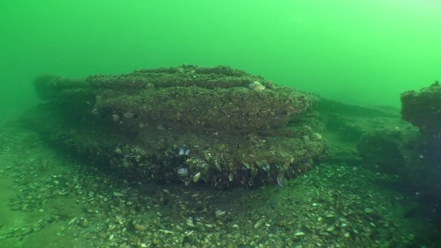 Interesting underwater terrain: calcareous rocks forming cornices.

