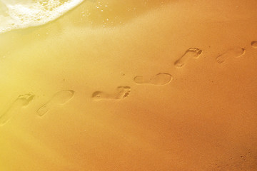 Footprints in the sand