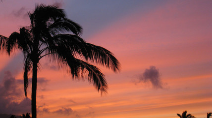 Fototapeta na wymiar Hawai Sunset 