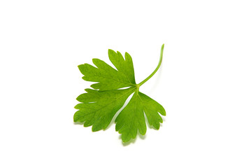 Parsley isolated on white