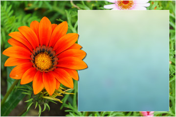 template with flowers for a greeting card, calendar