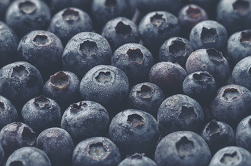 Macro Closeup of Fresh Tasty Blueberry Berry. Summer Food. Food Fruit Healthy Life Concept. Modern Toning.