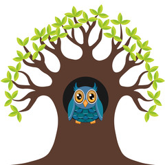 Owl in the tree hollow