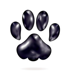 Black cat footprint isolated on white